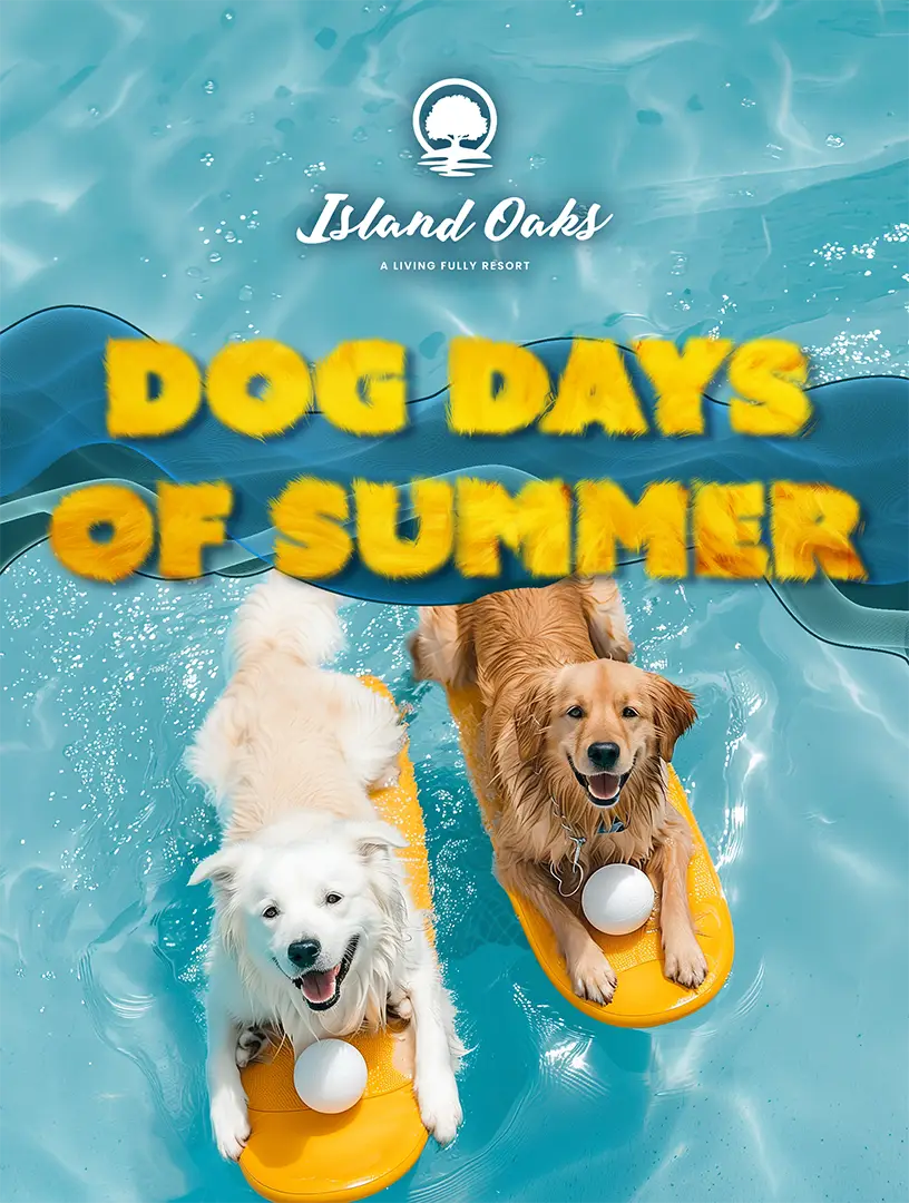 Dog Days of Summer