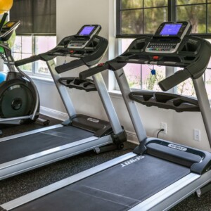 prof gym 4