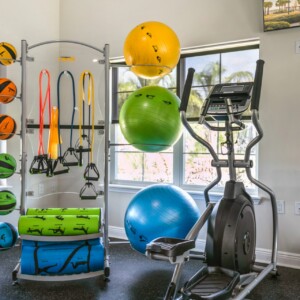 prof gym 5