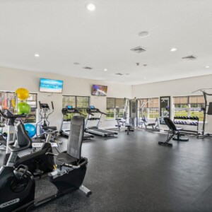 professional gym 2