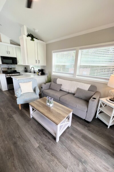 Cabin 362 Endless Summer Living Room and Kitchen