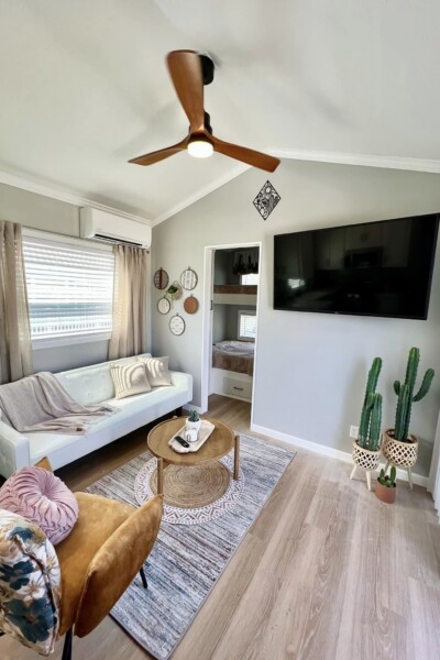 desert oasis living room w cactus